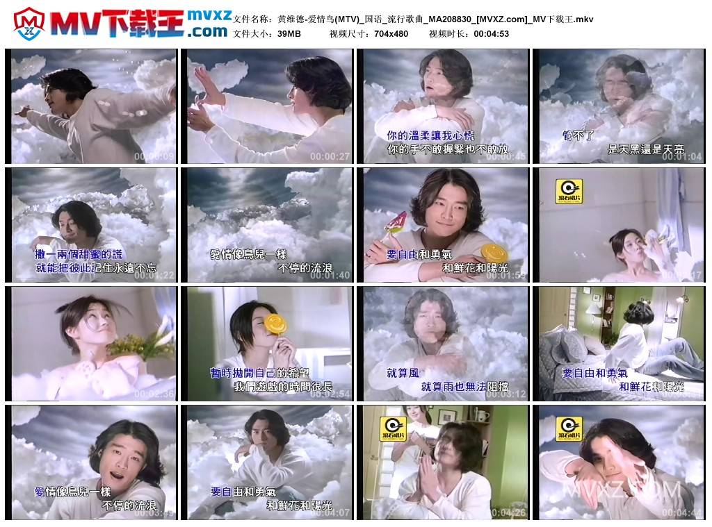 黄维德-爱情鸟(MTV)_国语_流行歌曲_MA208830